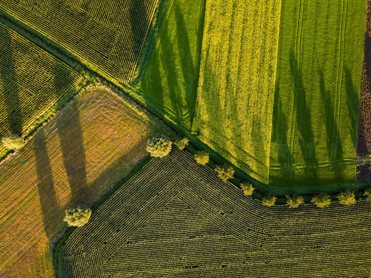 Havadan tarım arazilerinin görünümü; CropWatch haberi için temsili fotoğraf. Yulian Alexeyev / Unsplash.
